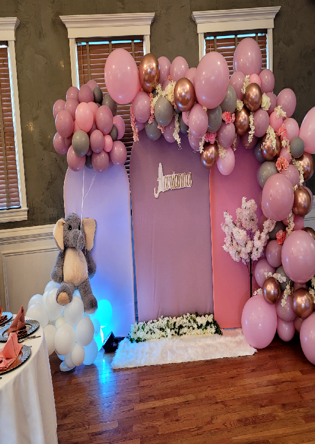 Baby Shower 6